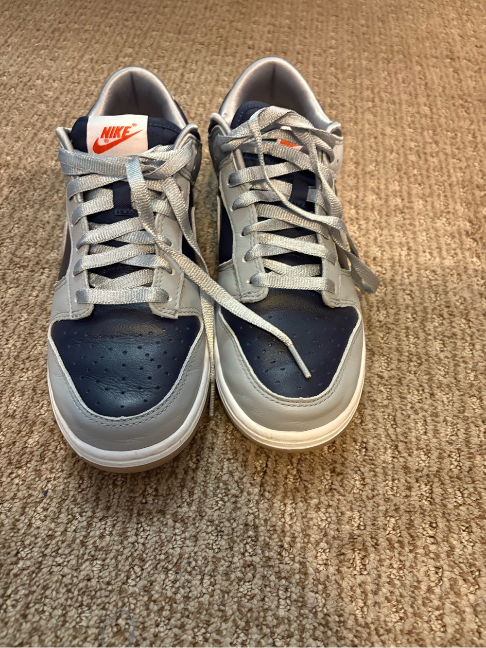 Nike Dunks Low